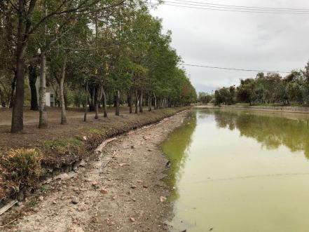 Usuarios del Parque Ecológico reclaman la falta de mantenimiento