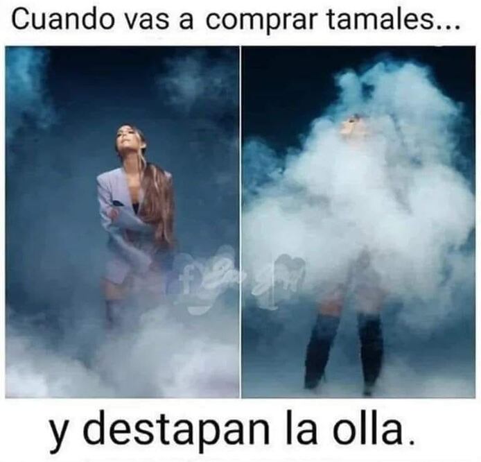 Hicimos una selección de los mejores memes del 2 de febrero | Foto: Redes Sociales