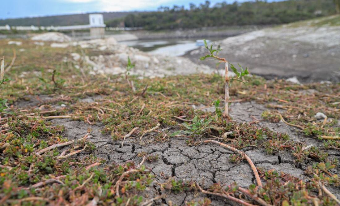 La presa de Valsequillo ha sido una de las más afectadas por la sequía. | Foto: Agencia Es Imagen para El Universal Puebla