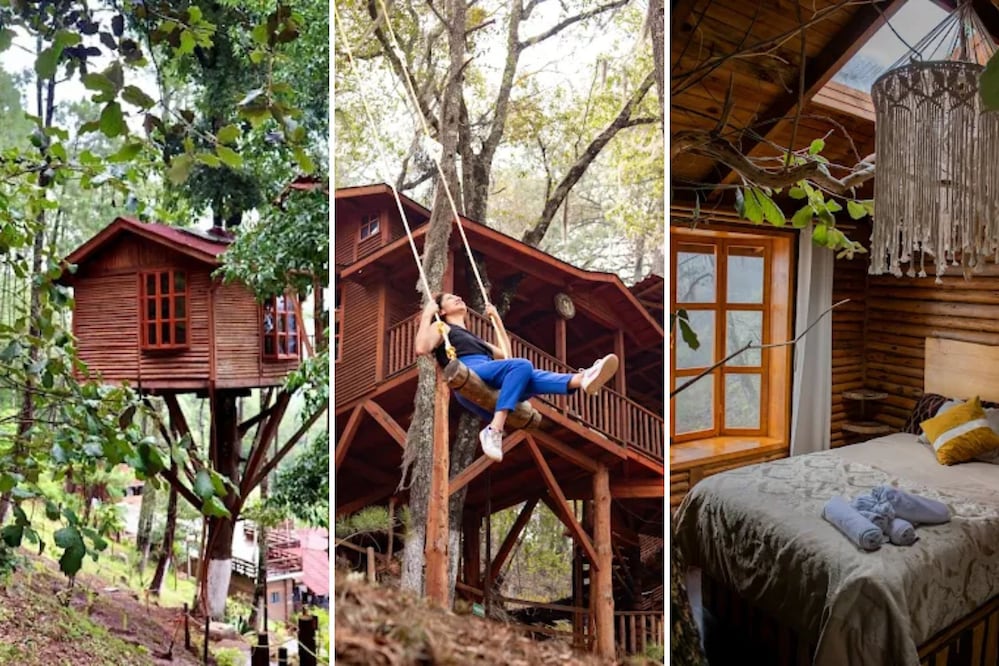 Las Cabañas Kali-Tree son un lugar lujoso en medio de bosque | Foto: Cabañas Kali-Tree