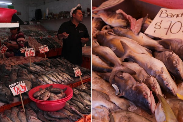 Marisco barato en Puebla: dónde comprar fresco y a buen precio