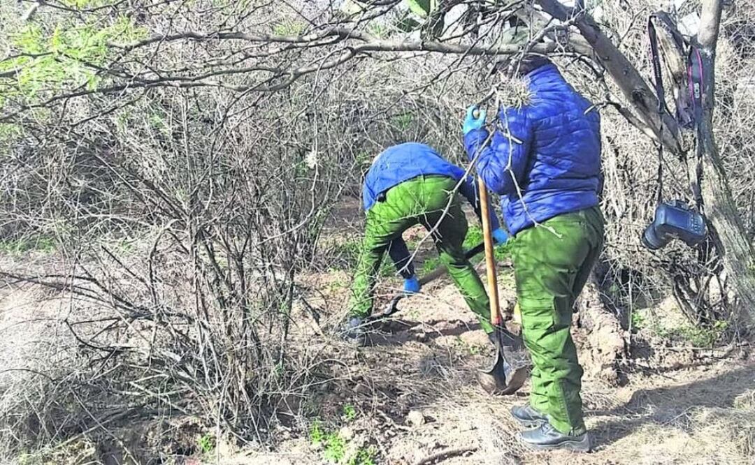 En la brigada de búsqueda participaron más de 67 servidores públicos, además de un representante del colectivo de búsqueda de personas. | Foto: Especial