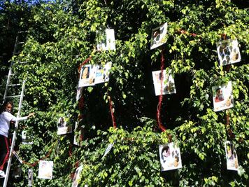 Retira Ayuntamiento de Puebla fotografías de desaparecidos en árbol del zócalo