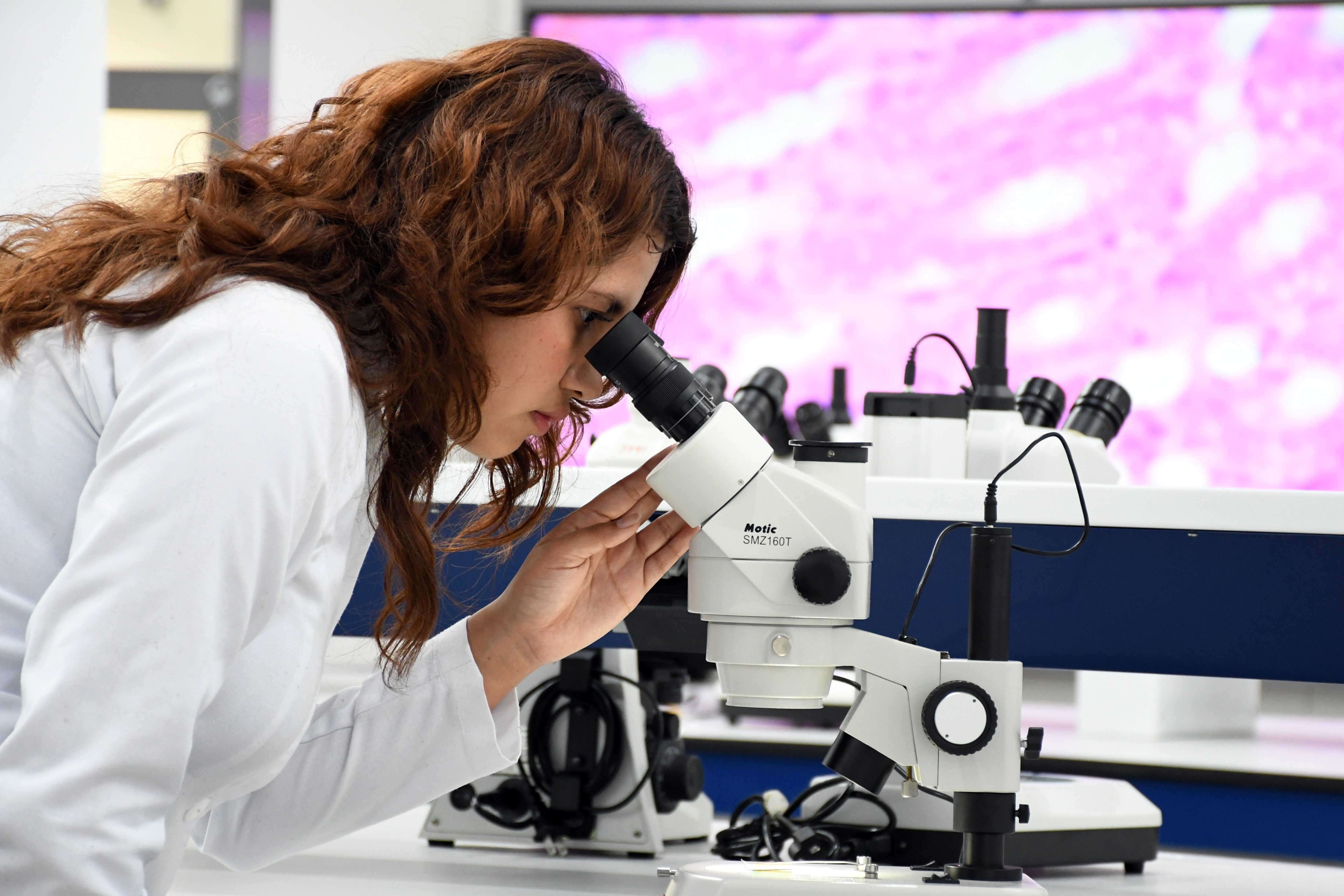 Ciudad Universitaria 2, campus clave para el desarrollo académico e investigativo | Foto: Buap
