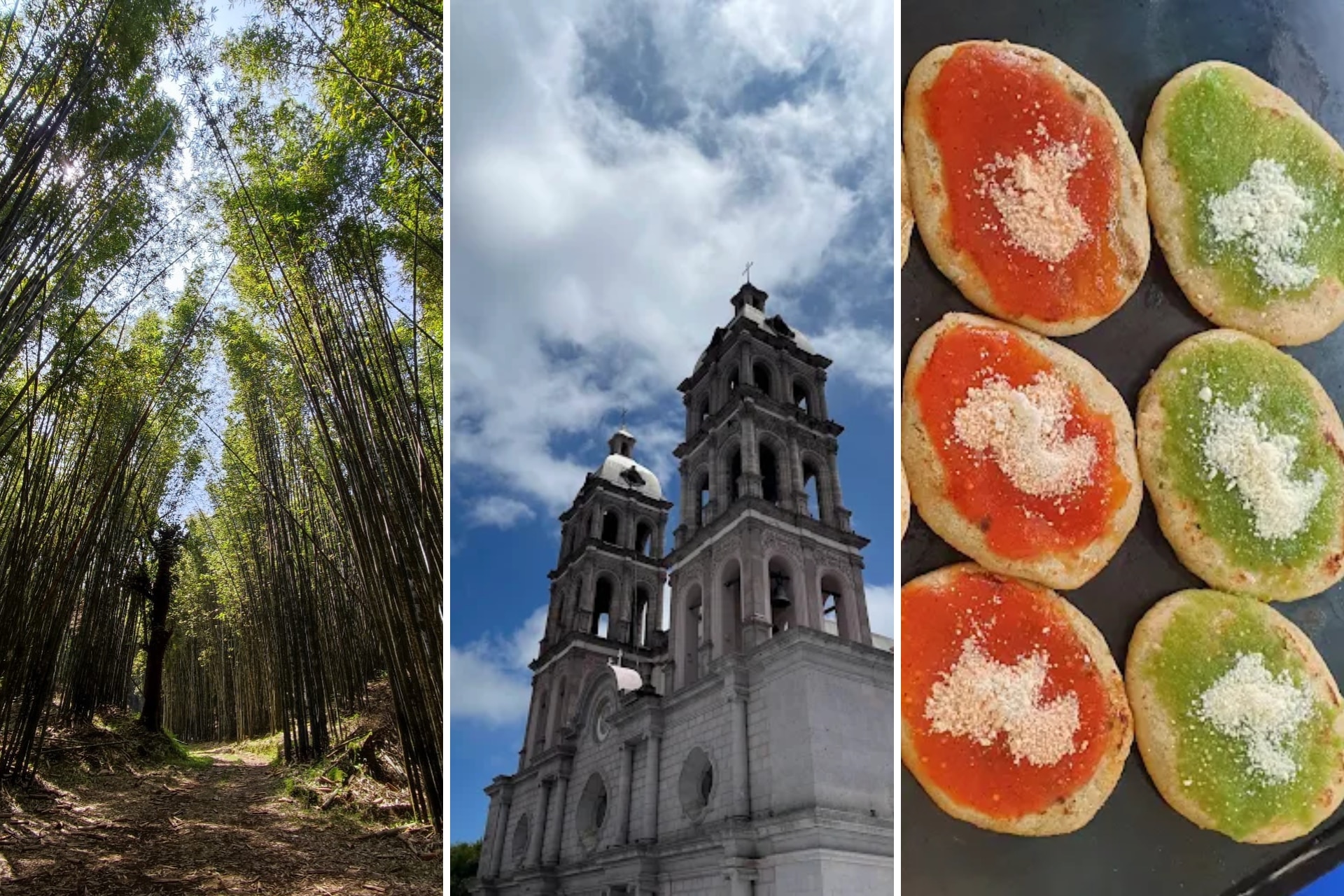 Qué hacer en Teziutlán, Puebla: bosque de bambú japonés, niebla y tlayoyos deliciosos