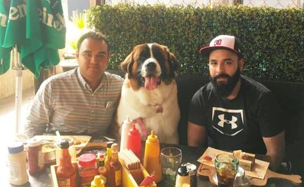 Restaurantes petfriendly en Puebla. Conócelos