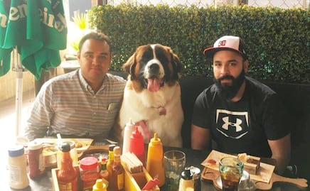 Restaurantes petfriendly en Puebla. Conócelos