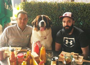 Restaurantes petfriendly en Puebla. Conócelos