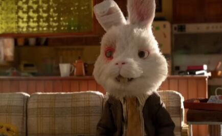 ¡Ralph ganó! México prohíbe pruebas de cosméticos en animales