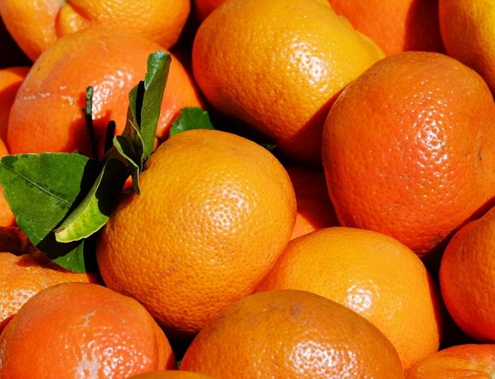 La mandarina es una fruta muy apreciada en esta temporada, especialmente durante el otoño, y su versatilidad permite incorporarla en diversas recetas y postres. 

Foto: Producción El Universal Puebla
