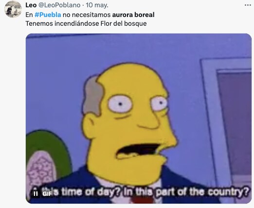 Las auroras boreales y los memes en Puebla / Foto: Redes sociales