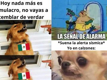 Septiemble 2025: los memes más divertidos sobre el simulacro y la alerta sísmica