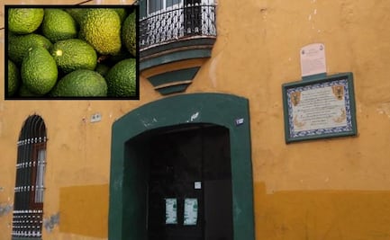 Descubre la Casa del Aguacate en el Pueblo Mágico de Atlixco
