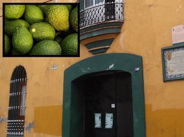 Descubre la Casa del Aguacate en el Pueblo Mágico de Atlixco