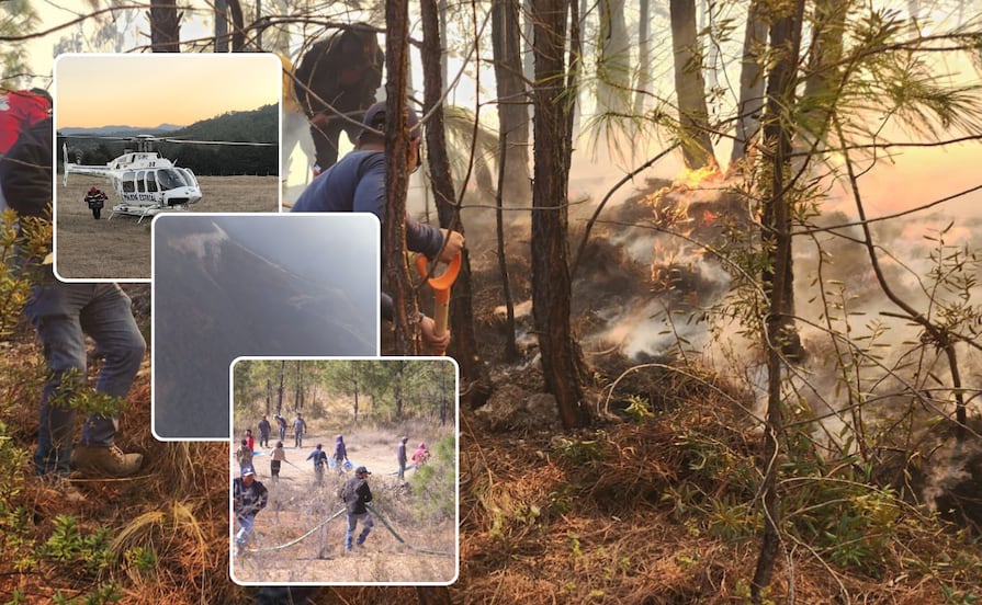 VIDEO Controlado el incendio en Vicente Guerrero, está liquidado al 90 por ciento: Protección Civil