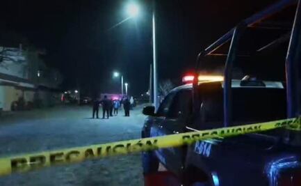 Niño se desmaya al ver que macheteaban a sus perros en Tehuacán