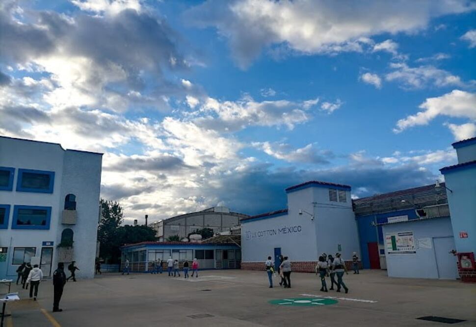 Algodón ZUUM es comercializado en Norte, Centro, Sudamérica y Europa | Foto: Google / Michelle Salazar