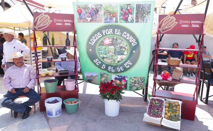 Gobierno de Puebla rescata economía de productores ante heladas atípicas en Chiautzingo