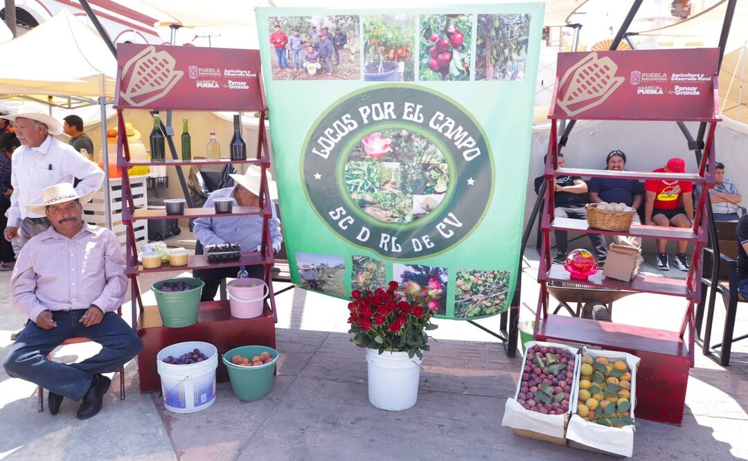 Se otorgaron apoyos para resarcir los daños causados por la helada provocada por un frente frío  Foto: Gobierno del Estado