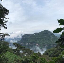 Zoquiapan, el municipio cafetalero que debes visitar en Puebla