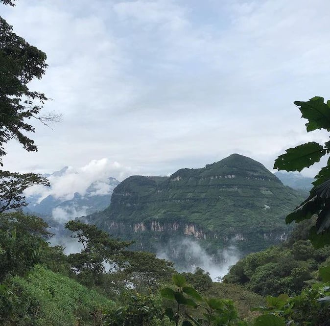 Por su clima, Zoquiapan es un municipio cafetalero y de bosques de niebla | Foto: Instagram Café Torres Puebla
