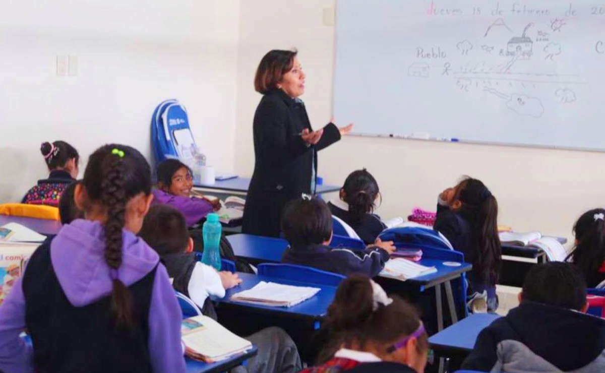 Día del Maestro: frases típicas de profe y memes