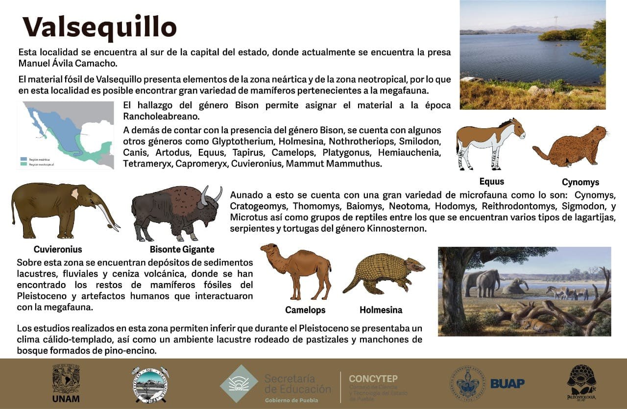 Foto: Museo Regional Mixteco-Tlayúa