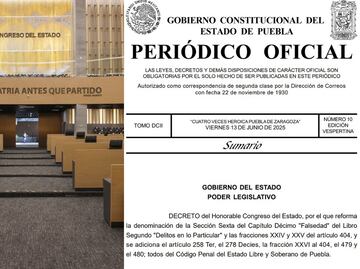Qué es la Ley del Ciberasedio en Puebla y por qué es tan polémica