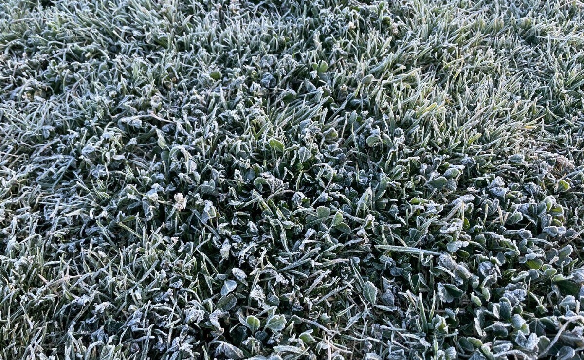 Algunas regiones de Puebla amanecieron con un horizonte blanco tras las bajas temperaturas | FOTO: Agencia Es Imagen para El Universal Puebla