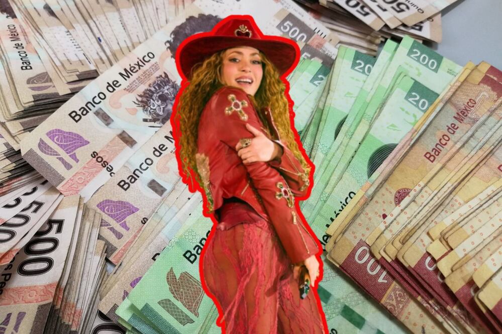 Los fanáticos de Shakira se sorprendieron con los elevados costos | Foto: Shakira / Pixabay