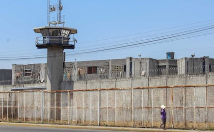 Puebla castiga más el robo de ganado que la sustracción de menores  