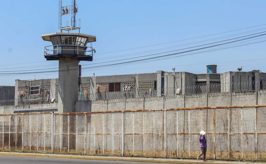 El robo de ganado es castigado con una pena mucho mayor que la sustracción de menores | Foto: Archivo El Universal