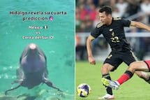 ¿Quién ganará el México vs Corea del Sur? esto predice un delfín en video viral