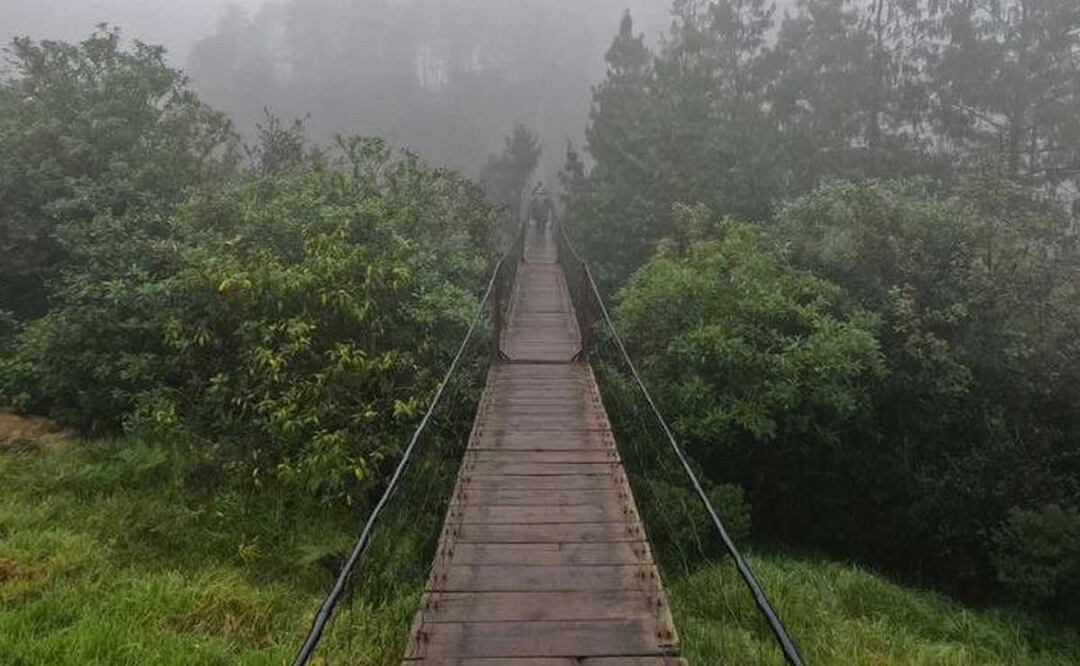 El Paraíso de Honey es uno de los bosques más fascinantes de Puebla | Instagram Mario Tachika