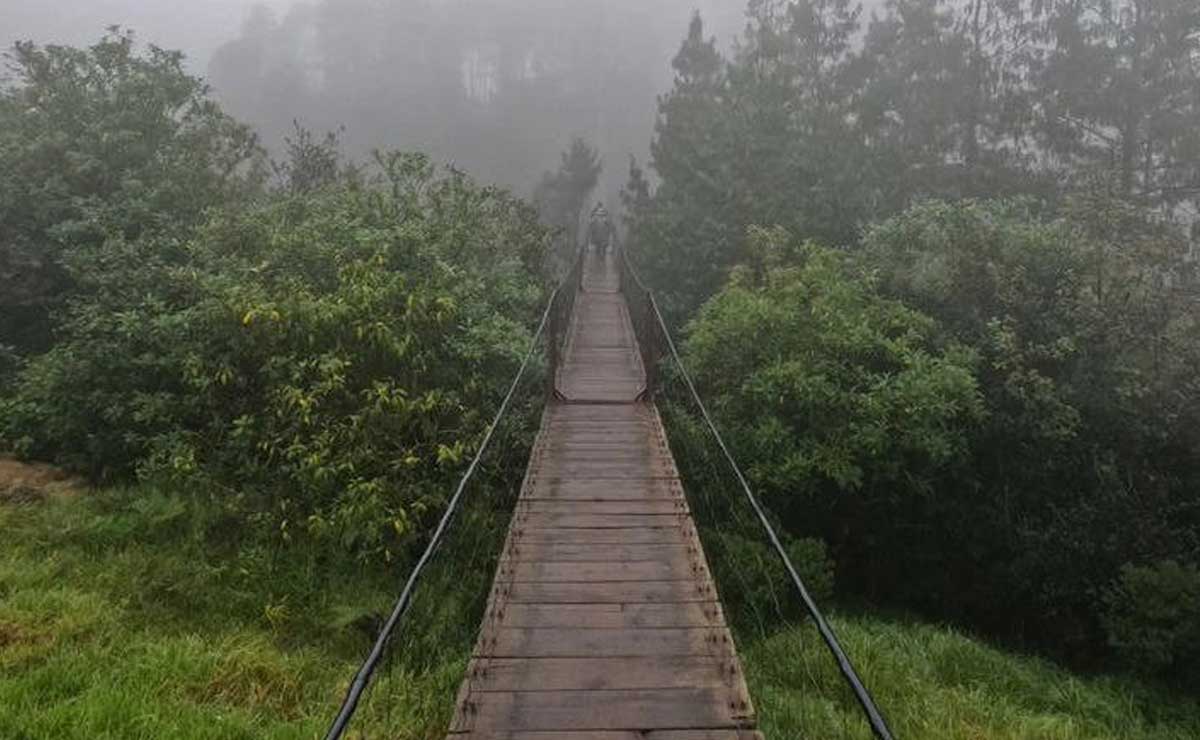 Arma tu ruta y visita los 4 bosques más encantadores de Puebla