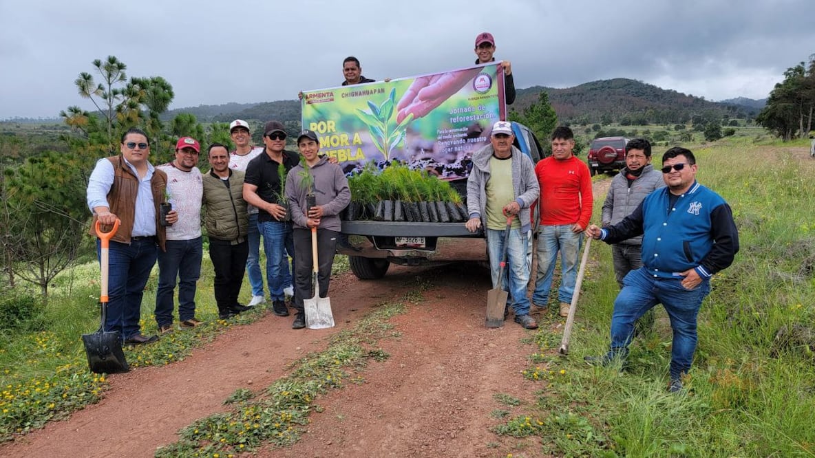 Grupo Fuerza Armentista organizó una exitosa jornada de reforestación en 15 municipios de Puebla | Foto: Especial