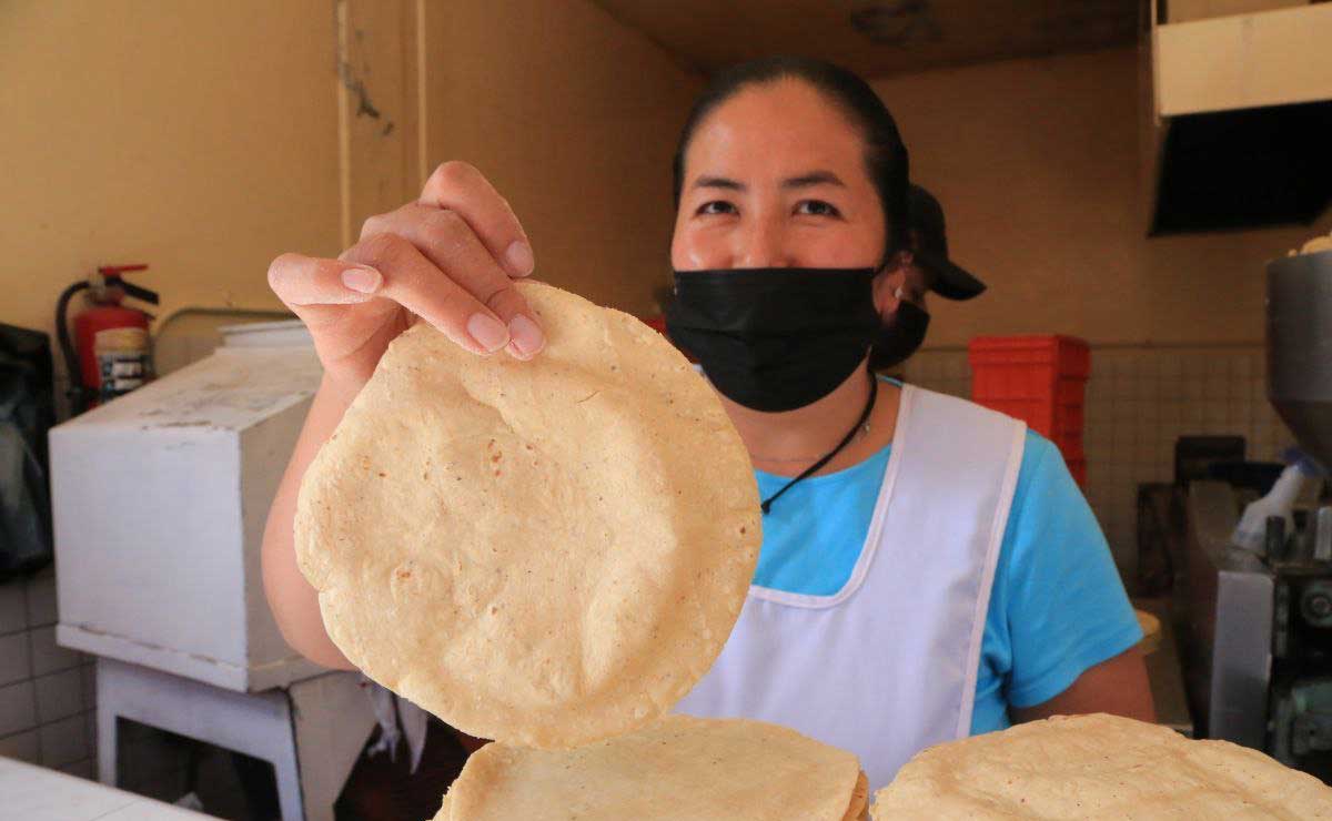 Precio del Kilo de tortilla en Puebla está a revisión del gobierno estatal