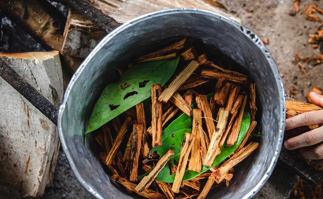 Los chamanes afirman que la ayahuasca es una medicina curativa y realizan rituales sanadores | Foto: GQ México