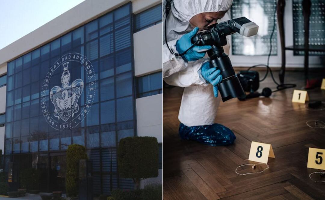 Una de las carreras del futuro que se oferta en la BUAP es Criminología | Foto: BUAP / freepik