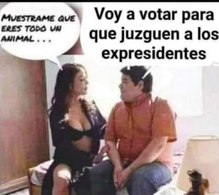 Los mejores memes de la Consulta Popular