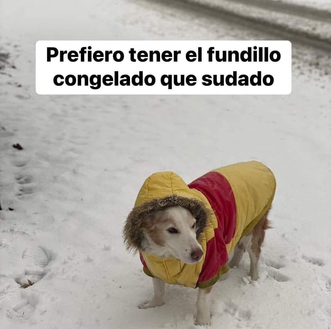 Foto: Redes Sociales