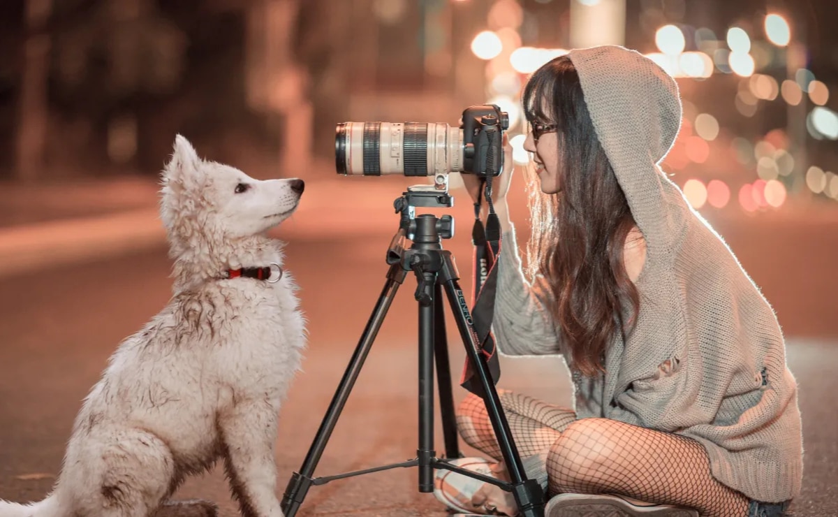 El Instituto de Bienestar Animal invita al concurso fotográfico “Hechizos y Huellitas”