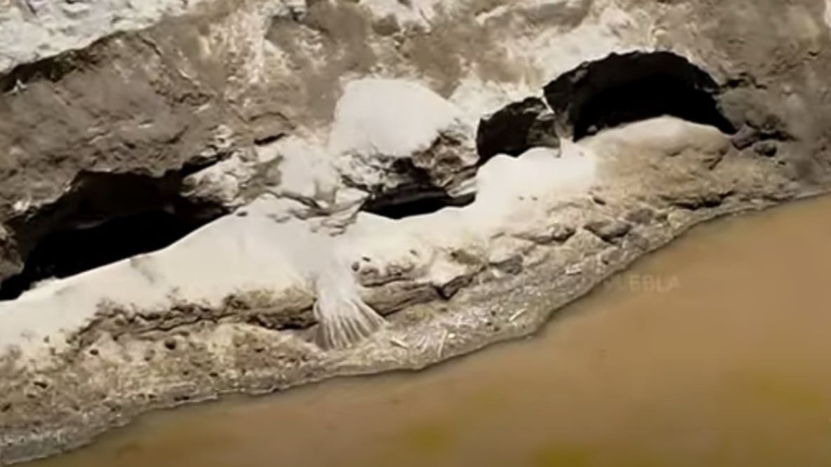 Imagen tomada de la pantalla. YouTube México DJI Puebla