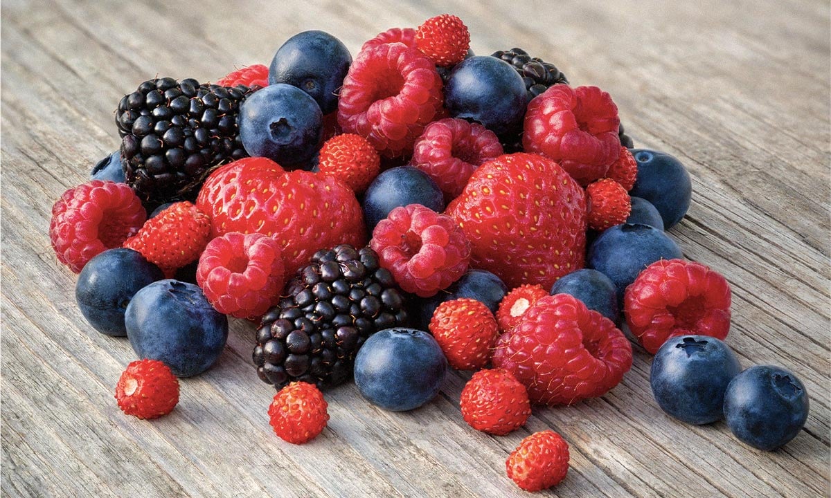 Es importante mencionar que el consumo de frutas debe ser parte de una dieta equilibrada y variada, y se debe evitar el exceso de consumo de frutas muy dulces o en grandes cantidades. 

Foto: Producción El Universal Puebla