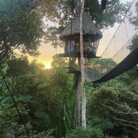 Luisito Comunica. Así es la fabulosa casa del árbol en la que se hospedó en su último viaje