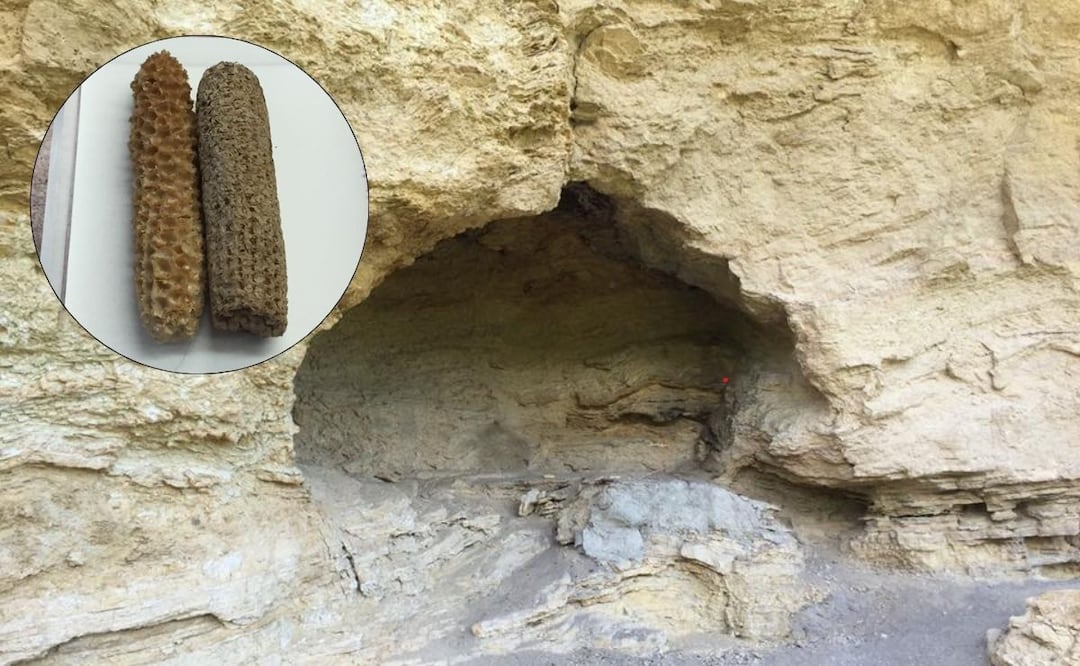 La cueva del maíz de Puebla es importante en la historia mundial | Foto: Facebook Tortilla de Maíz Mexicana