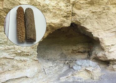 La cueva más importante de la agricultura mundial está en Puebla, conócela