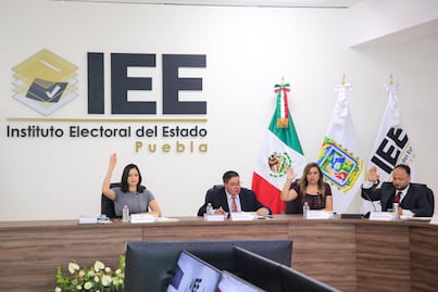 IEE da 48 horas para retirar los espectaculares