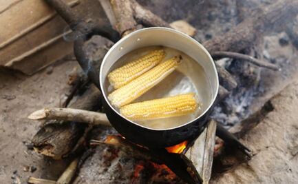 BUAP analiza la viabilidad de estufas ahorradoras de leña
