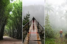 Cómo llegar desde CDMX a los bosques con neblina de Puebla